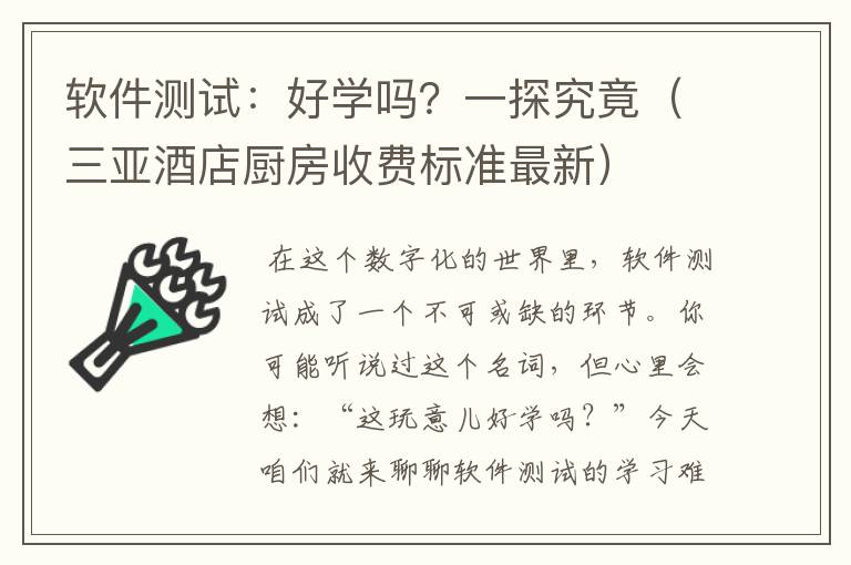 软件测试：好学吗？一探究竟（三亚酒店厨房收费标准最新）