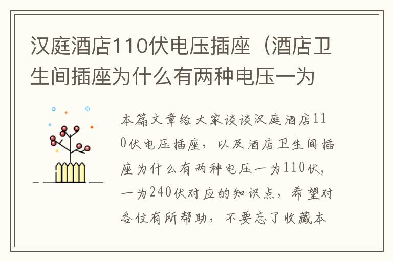 汉庭酒店110伏电压插座（酒店卫生间插座为什么有两种电压一为110伏,一为240伏）