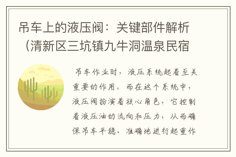 吊车上的液压阀：关键部件解析（清新区三坑镇九牛洞温泉民宿）